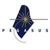 pegasus associations logo