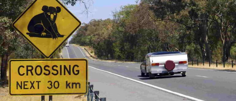 A road sign with a koala bear crossing